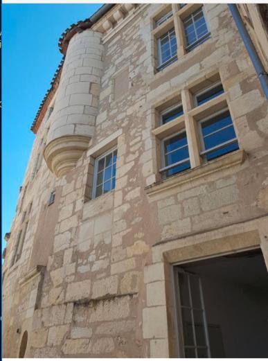 Apartamento Superbe loft t4 de 96 M2 au coeur Périgueux Exterior foto